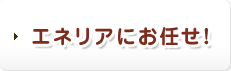 エネリアにお任せ!