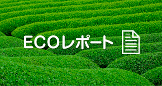 ECOレポートダウンロード