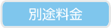 別途料金